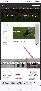 FCW Wissensdatenbank > Eingabe von Spesen im smartclub > Screenshot Smartphone Browser Helpdesk.jpg